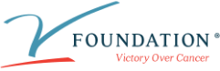 logo v foundation