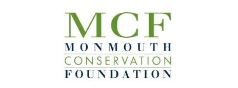 img logo mcf